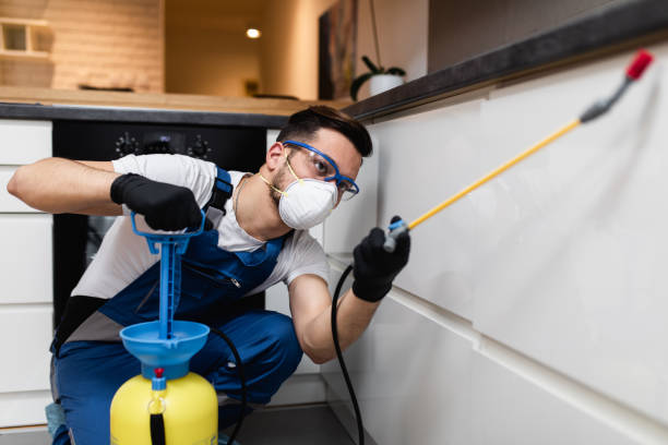Best Bed Bug Extermination  in Dunsmuir, CA
