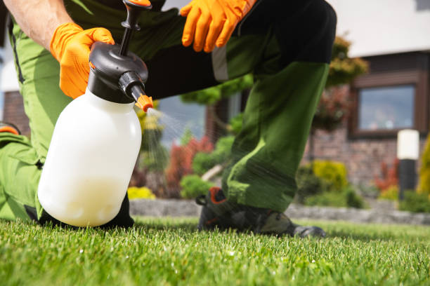 Best Ant Control Services  in Dunsmuir, CA