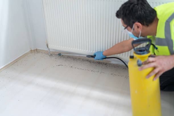 Best Exterminator Services  in Dunsmuir, CA